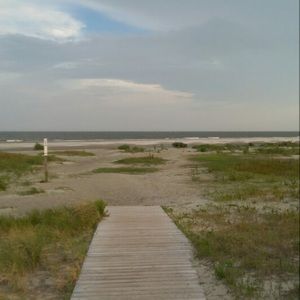 Meet your Posher, Audrey